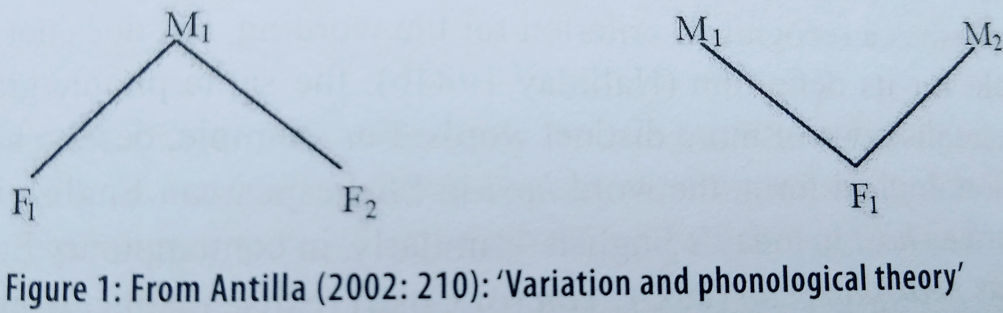 Figure 1: From Antilla (2002: 2010): 'Variation and phonological theory